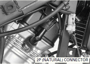 Fuel System (PGM-FI)