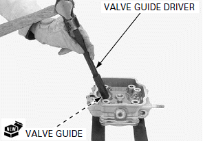 Cylinder Head/Valves